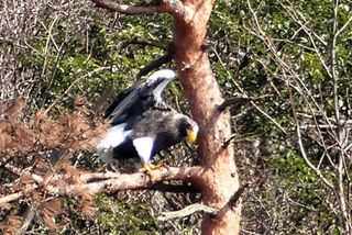 P1580573toubai.jpg