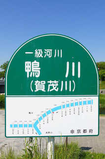 P1860037htrs.jpg
