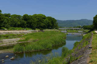P1860253htrs.jpg