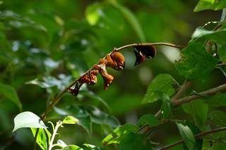 P2260194.res.jpg