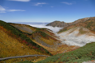 resize0014.jpg