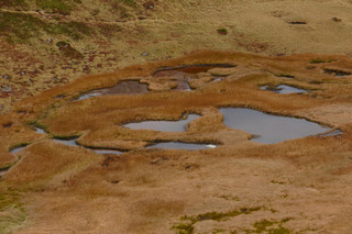 resize0017.jpg