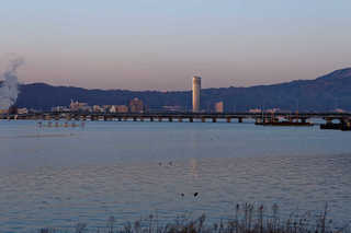 resize2420.jpg