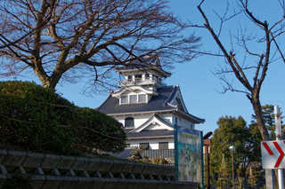 resize2426.jpg
