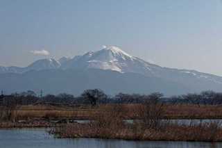 resize2441.jpg