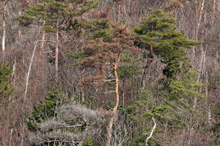 resize2454.jpg
