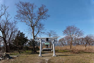 resize2455.jpg