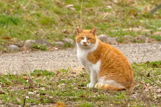 resize2493.jpg