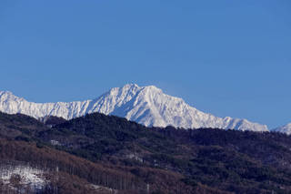 resize8274.jpg