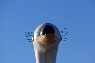 resize8549.jpg