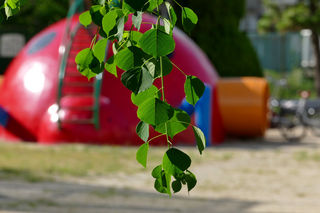 resize0000234.jpg