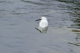 resize0000235.jpg