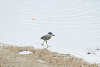 resize0000238.jpg