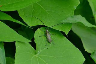 resize0000240.jpg