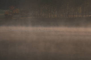 resize1623.jpg